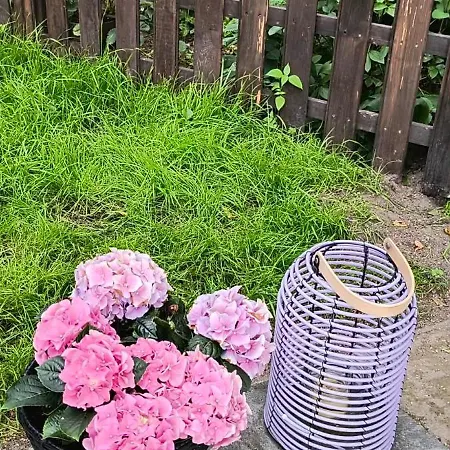 Leszczynowy Dworek Bialogarda